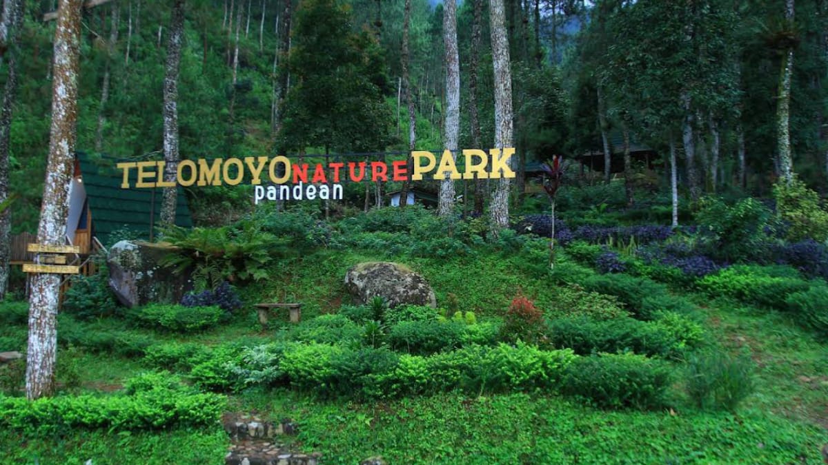 Telomoyo Nature Park: Destinasi Menikmati Keindahan Alam Jawa Tengah